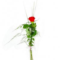 Min kära - rosor - Skicka blommor %city%